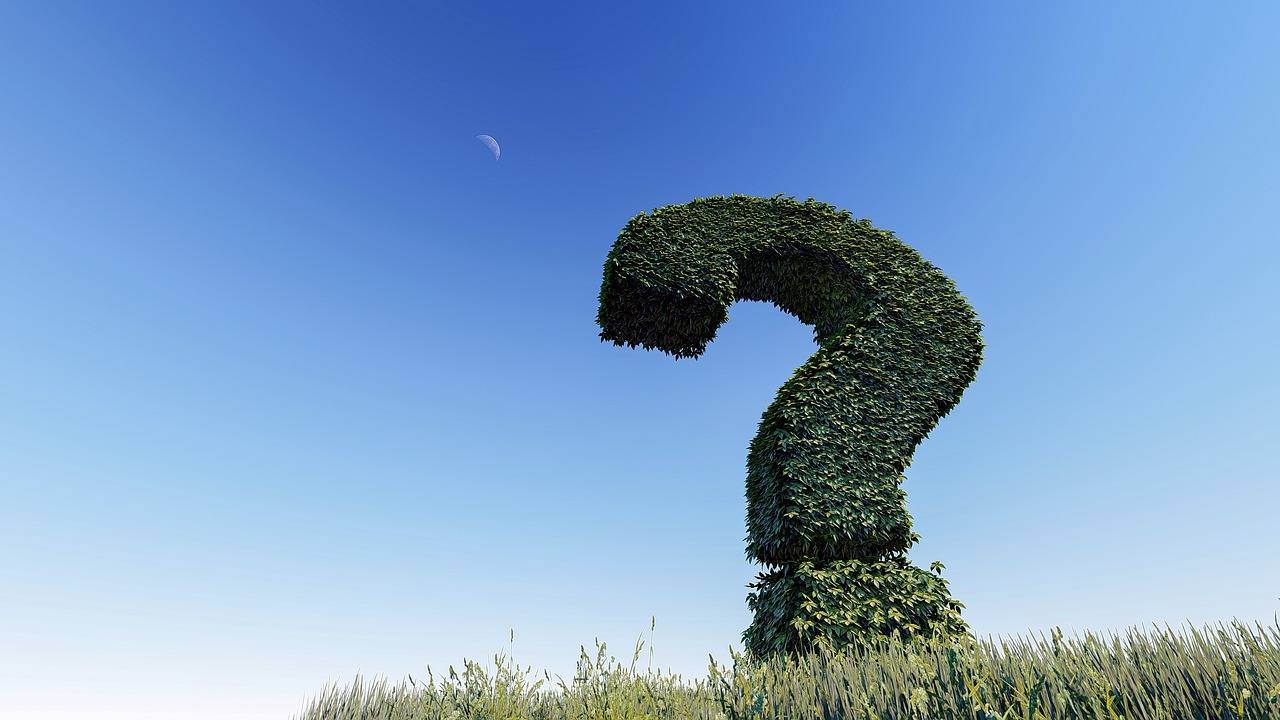 question mark, knowledge, question, sign, symbol, mark, night sky, ask, help, problem, answer, information, solution, why, advice, text, 3d, choice, nature, choose, which, direction, leaves, tree, grass, sky, moon, blue tree, blue moon, blue help, blue grass, blue question, blue leaf, blue information, blue leaves, blue knowledge