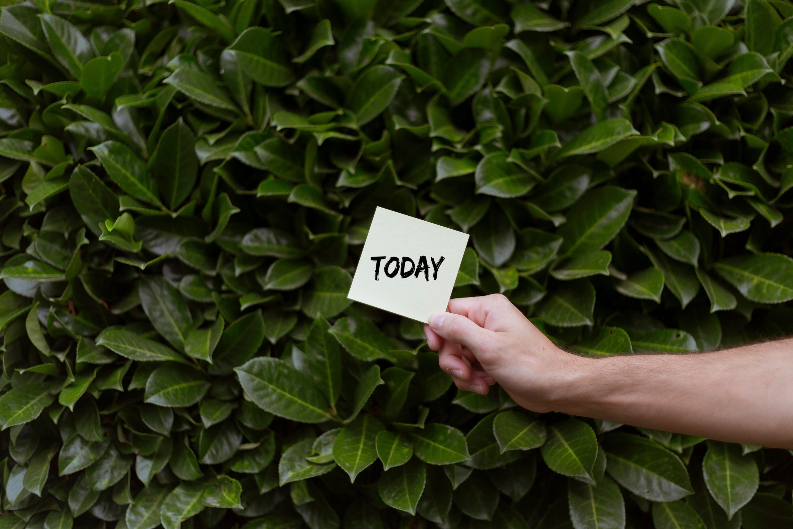 A person holding a note with 'Today' against a lush green background.